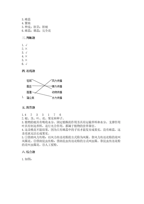 教科版科学四年级下册第一单元植物的生长变化测试卷完整参考答案