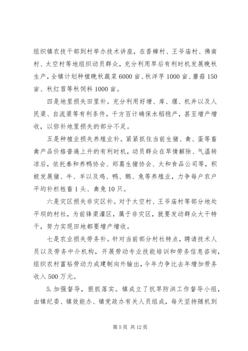 乡镇抗旱救灾工作汇报.docx