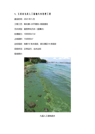 玉溪市九溪人工湿地污水处理工程.docx