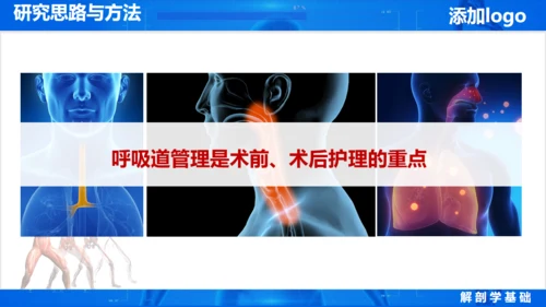 人体奥秘医学解剖学学术论文通用PPT模版
