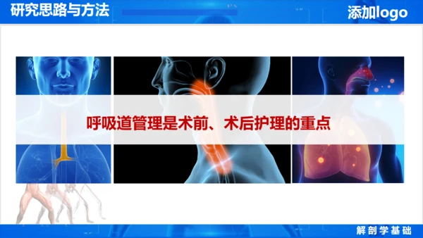 人体奥秘医学解剖学学术论文通用PPT模版