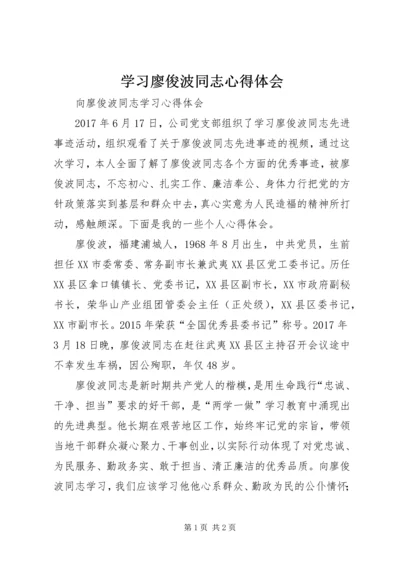 学习廖俊波同志心得体会 (8).docx