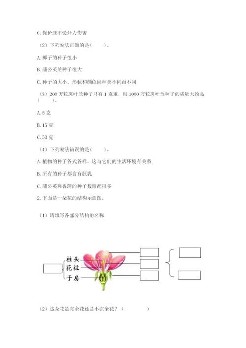 科学四年级下册第一单元植物的生长变化测试卷【有一套】.docx