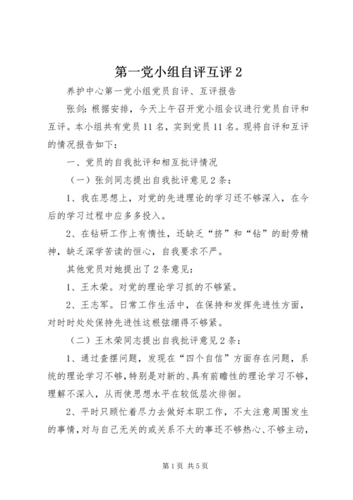 第一党小组自评互评2.docx