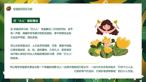 七星瓢虫惊蛰PPT模板