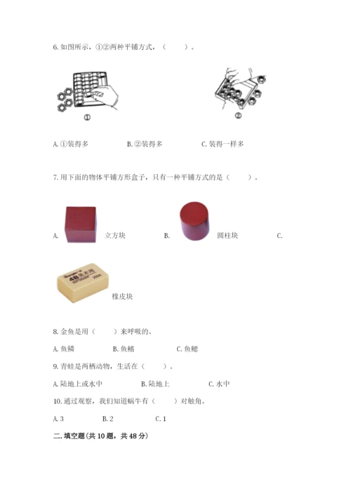 教科版一年级下册科学期末测试卷附答案【巩固】.docx