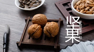 休闲美食美味坚果干果宣传画册PPT模板
