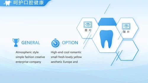 口腔健康守护计划牙科工作总结PPT