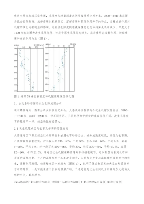 大港滩海区古近系储层类型及此生孔隙成因分析.docx