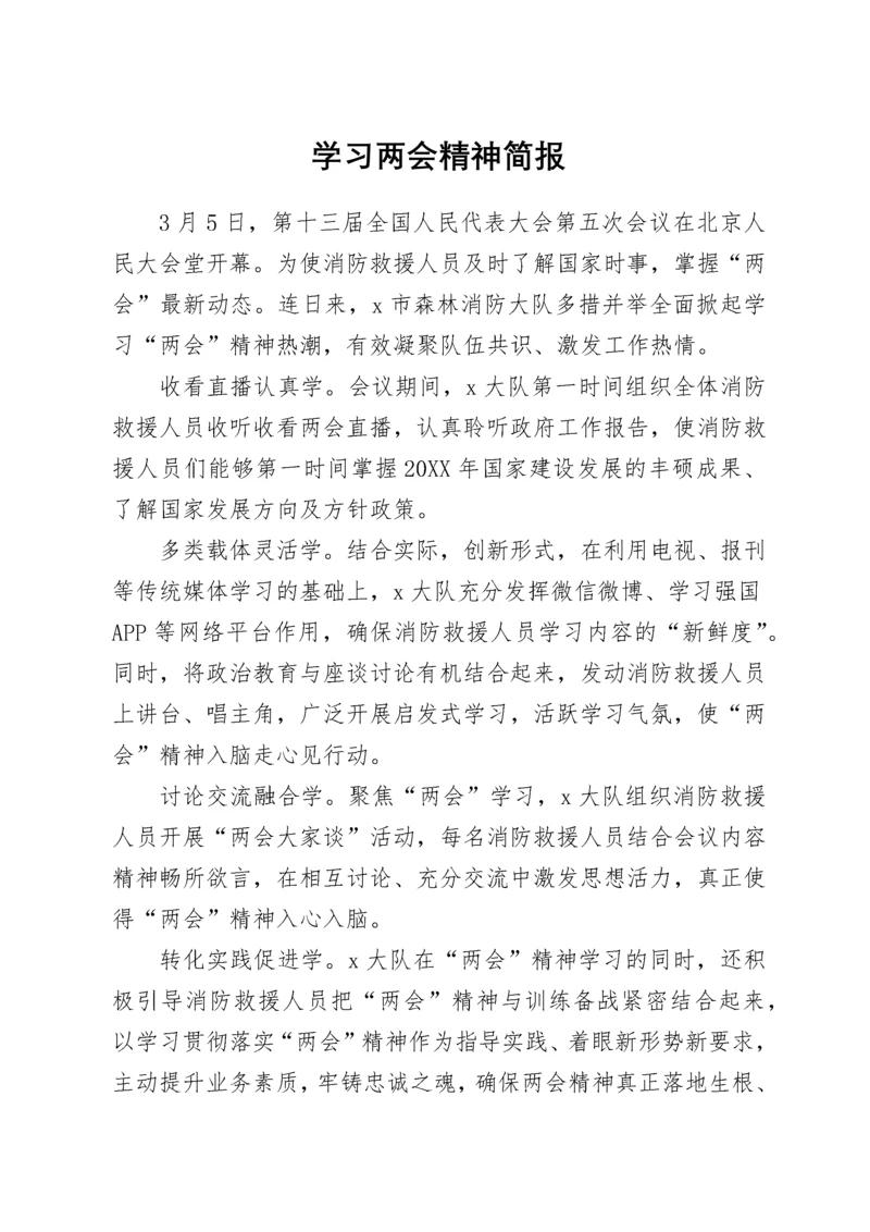 学习两会精神简报.docx