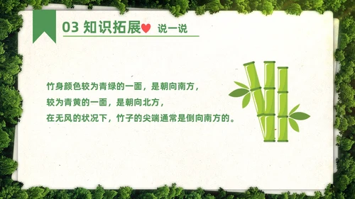 绿色简约实拍要是你在野外迷了路二年级语文下册说课PPT课件小学语文二年级下册课件