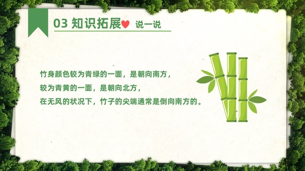绿色简约实拍要是你在野外迷了路二年级语文下册说课PPT课件小学语文二年级下册课件