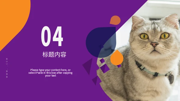 宠物小狗狗泰迪犬通用PPT模板
