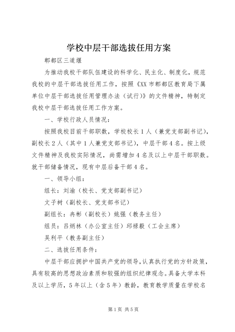 学校中层干部选拔任用方案.docx