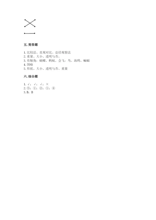 教科版一年级下册科学期末测试卷精品及答案.docx
