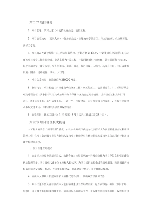 代建综合项目实施专项方案.docx