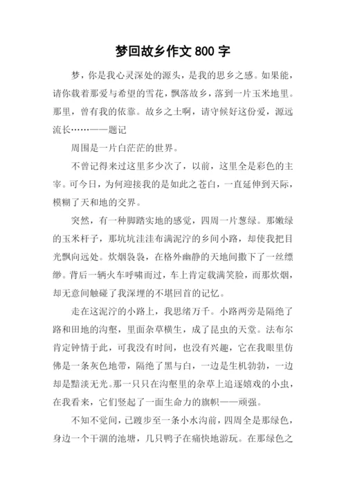 梦回故乡作文800字.docx
