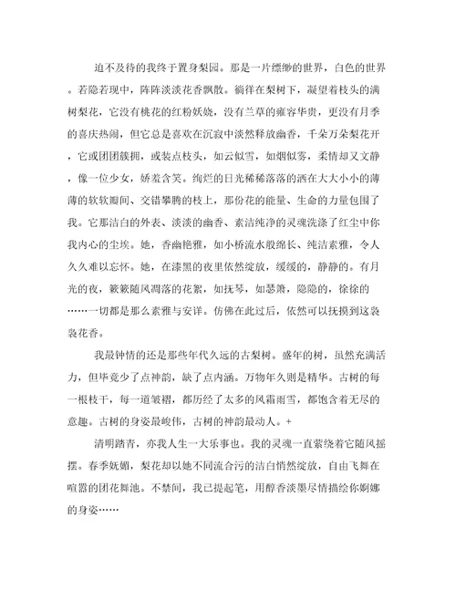 有关于清明踏青的作文