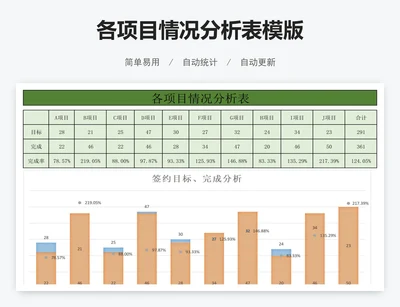 各项目情况分析表模版