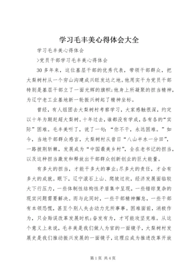 学习毛丰美心得体会大全 (4).docx