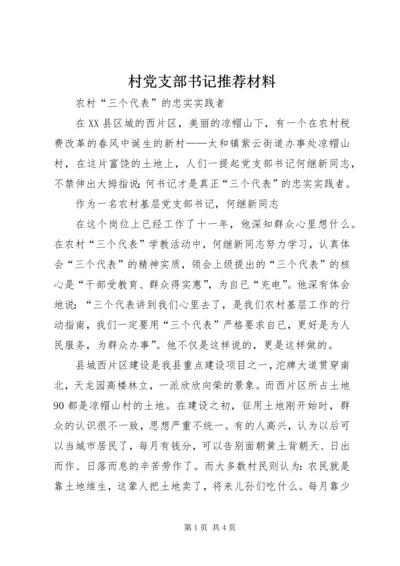 村党支部书记推荐材料 (4).docx