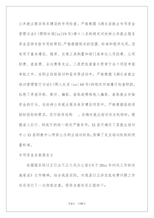 2022专项资金自查报告.docx