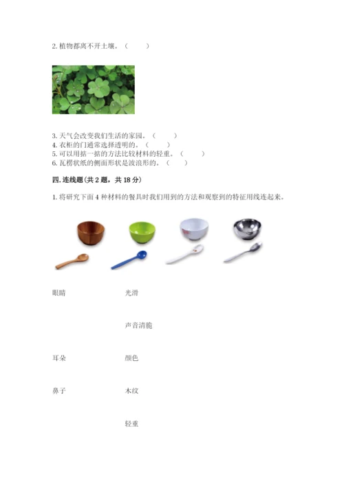 教科版小学二年级上册科学期末测试卷（考点梳理）.docx