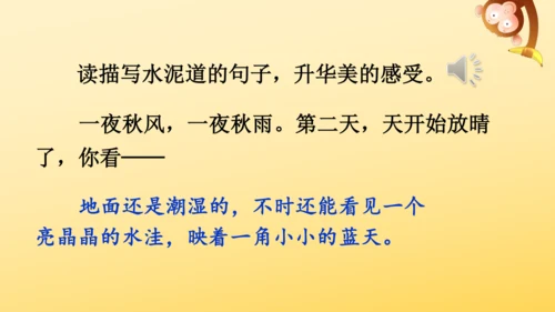 5《铺满金色巴掌的水泥道》   课件