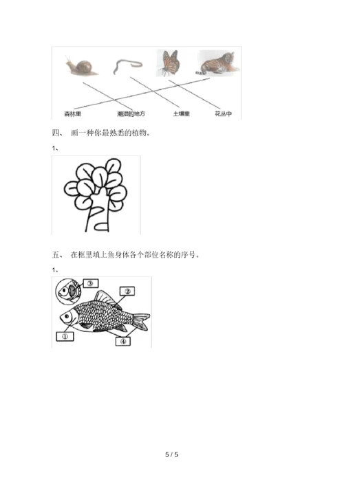 2021年教科版一年级科学上册期中考试【附答案】