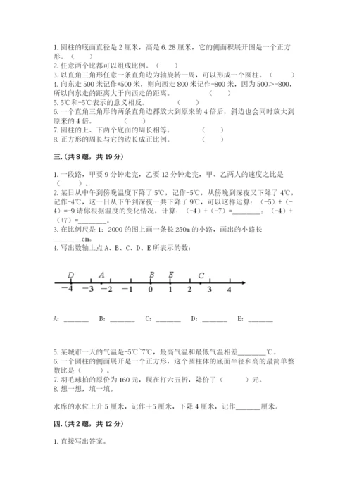 苏教版数学六年级下册试题期末模拟检测卷及完整答案（历年真题）.docx