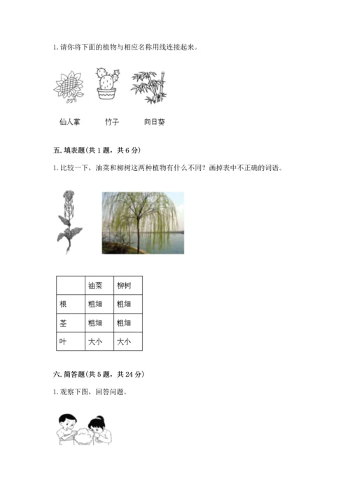 教科版科学一年级上册期末测试卷（考点精练）.docx