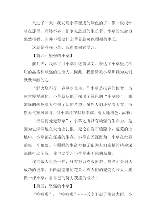 坚强的小草作文250字.docx