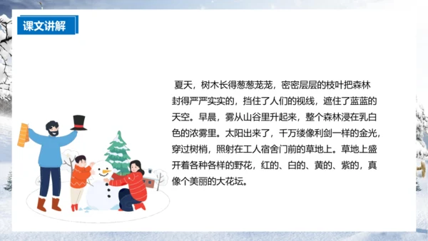 第20课《美丽的小兴安岭》（课件）