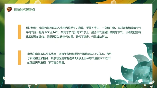 七星瓢虫惊蛰PPT模板
