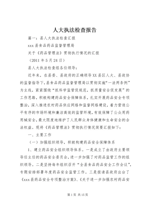 人大执法检查报告.docx