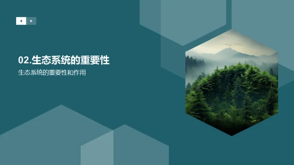 生态守护：我们的责任