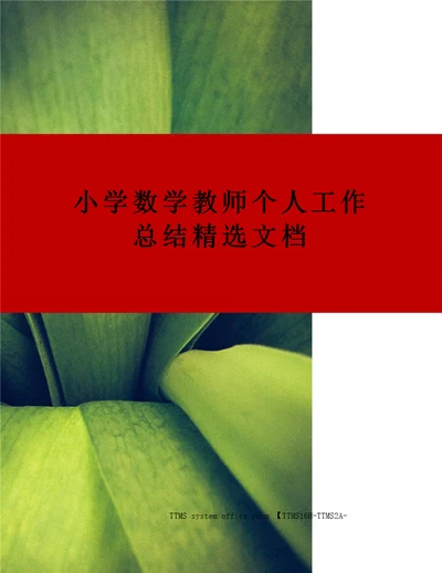 小学数学教师个人工作总结精选文档