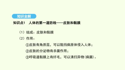 8.1.2.1免疫与计划免疫（第一课时）课件-人教版生物八年级下册(共28张PPT)