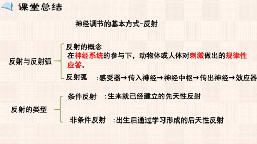 4.6.3神经调节的基本方式（课件）-七年级生物下册备课无忧（人教版）(共17张PPT)