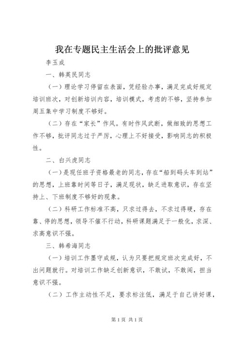 我在专题民主生活会上的批评意见.docx