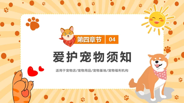 猫咪，宠物健康管理PPT模板