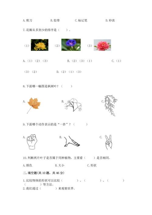 教科版一年级上册科学期末测试卷附答案（满分必刷）.docx