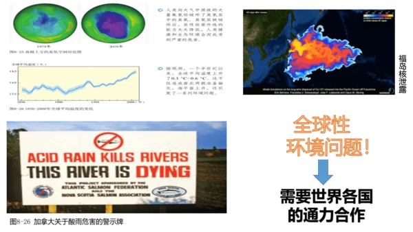 6.3共同关注的环境问题