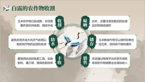 褐绿色中国风白露节气学校主题班会PPT模板