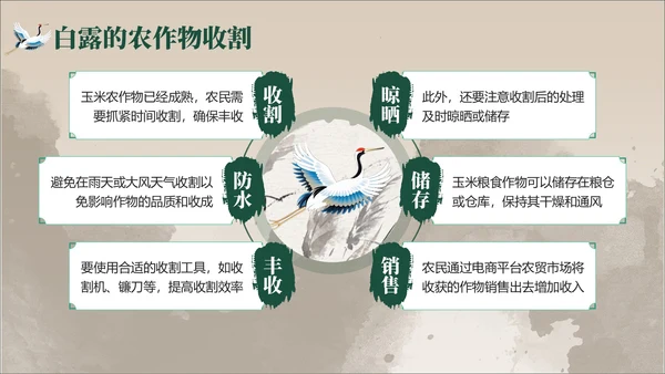 褐绿色中国风白露节气学校主题班会PPT模板