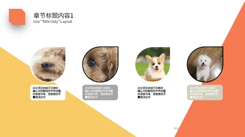 宠物乐园萌宠小狗主题通用PPT模板