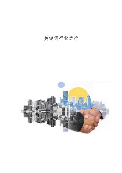 关键词行业运行.docx