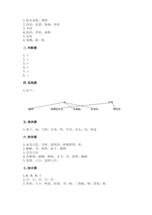 教科版小学科学一年级下册期末测试卷【基础题】.docx