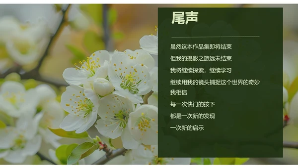 绿色简约风摄影师个人作品集PPT模板
