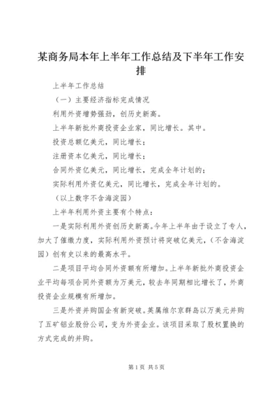 某商务局本年上半年工作总结及下半年工作安排 (2).docx